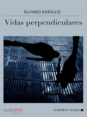 cover image of Vidas perpendiculares